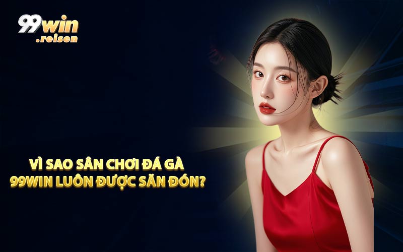 Vì sao sân chơi đá gà 99WIN luôn được săn đón?