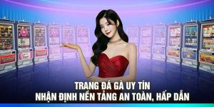 Trang Đá Gà Uy Tín – Nhận Định Nền Tảng An Toàn, Hấp Dẫn