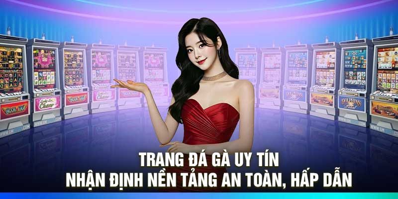 Trang Đá Gà Uy Tín – Nhận Định Nền Tảng An Toàn, Hấp Dẫn